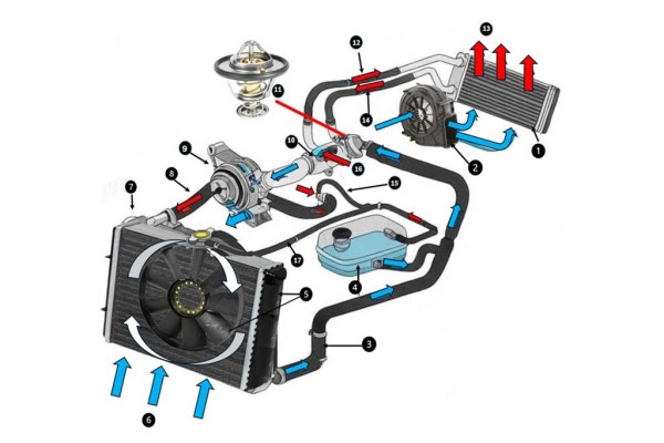 Как работает антифриз: принцип охлаждения двигателя и роль жидкости в автомобиле Как работает антифриз: принцип охлаждения двигателя и роль жидкости в автомобиле