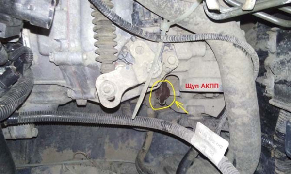 Полная и частичная замена масла в АКПП Лада Гранта своими руками