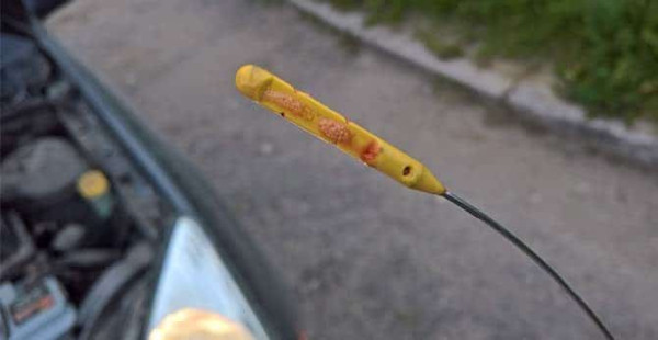 Причины почему пенится масло в АКПП и что делать водителю Причины почему пенится масло в АКПП и что делать водителю