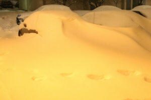 Сначала выхлопную трубу: в МЧС дали советы по выкапыванию машин