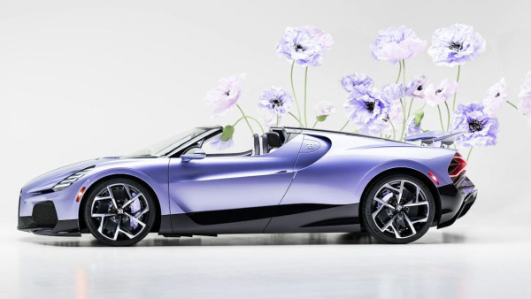 Bugatti W16 Mistral Caroline: цветочное совершенство