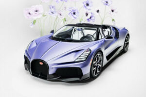 Bugatti W16 Mistral Caroline: цветочное совершенство