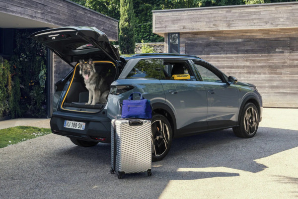 Концепт Peugeot E-5008 Dog Edition: собачья радость Концепт Peugeot E-5008 Dog Edition: собачья радость