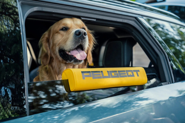 Концепт Peugeot E-5008 Dog Edition: собачья радость Концепт Peugeot E-5008 Dog Edition: собачья радость